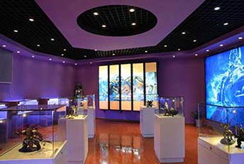 �����»�����ѧУӰ�Ӷ�����Ϸʵѵ����